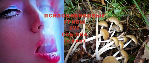 прущие грибы Алексеевка