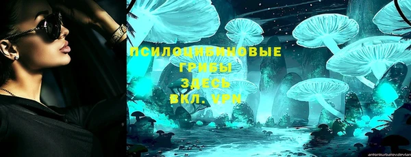 прущие грибы Алексеевка