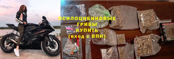 прущие грибы Алексеевка